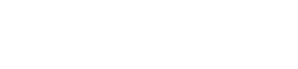 Diden Robotics logo